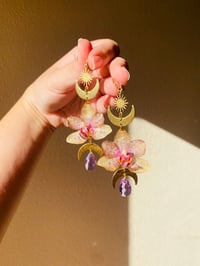 Image 3 of 💛💜Moth Orchid Moon Phase Shaniquas💜💛
