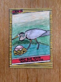 Great Blue Heron. Single Card. 
