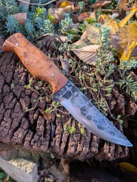 Image 1 of PUUKKO