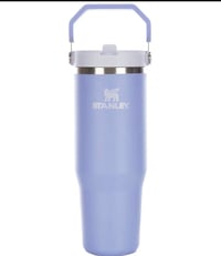 40oz Stanley flip straw