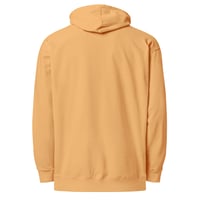 Image 2 of Unisex midweight LIFE LESSONS hoodie