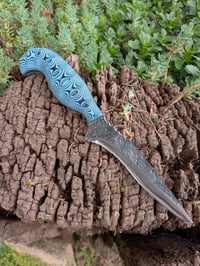 Image 1 of TEAL FIGHTER