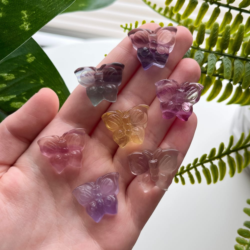 Fluorite Mini Butterfly Carving