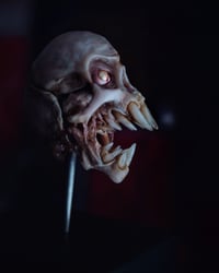 Image 19 of Vampire fetal skull, original art, dark academia