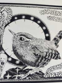 Image 3 of Little wren- drawn to scale!