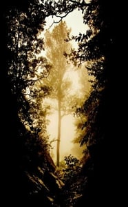 Image of Hiverna Hiver, Nostalgie & Amertume AtramC012