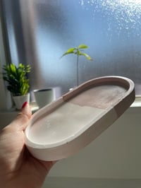 Image 2 of Two  Colored  Tray