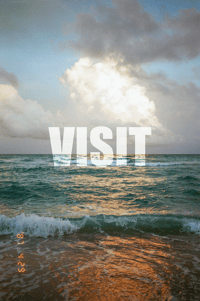Visit