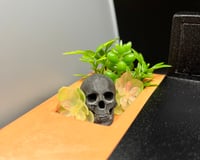 Image 2 of Orange Pigment Bam Jam