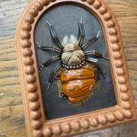 Image 1 of Pumpkin spider (a, 5x6 inches)