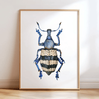 Image 2 of Weevil Beetle Watercolor Illustration PRINT 