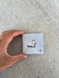 Image 3 of WEEKLY MICRO SERIES 