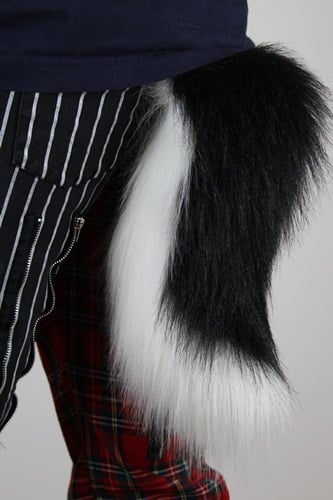 Image of 12 inch Black Top w/ White Tail