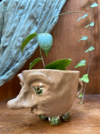 Image 3 of Teacup Anemone Hoya in Handmade Vince Mascoli Original