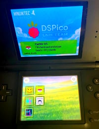 Image 4 of DSPico / 16GB / Pre-Loaded 7 ROMs (PadMe, Breaks, AciD, Stutter, Moody, GriDS, SID-DS) Limited Pink