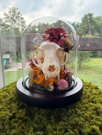 Image 6 of Summer Kitty Cloche 