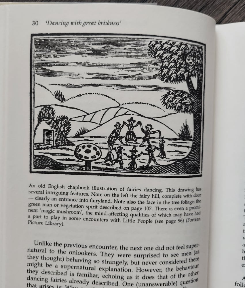 Fairies: Real Encounters with Little People, by Janet Bord