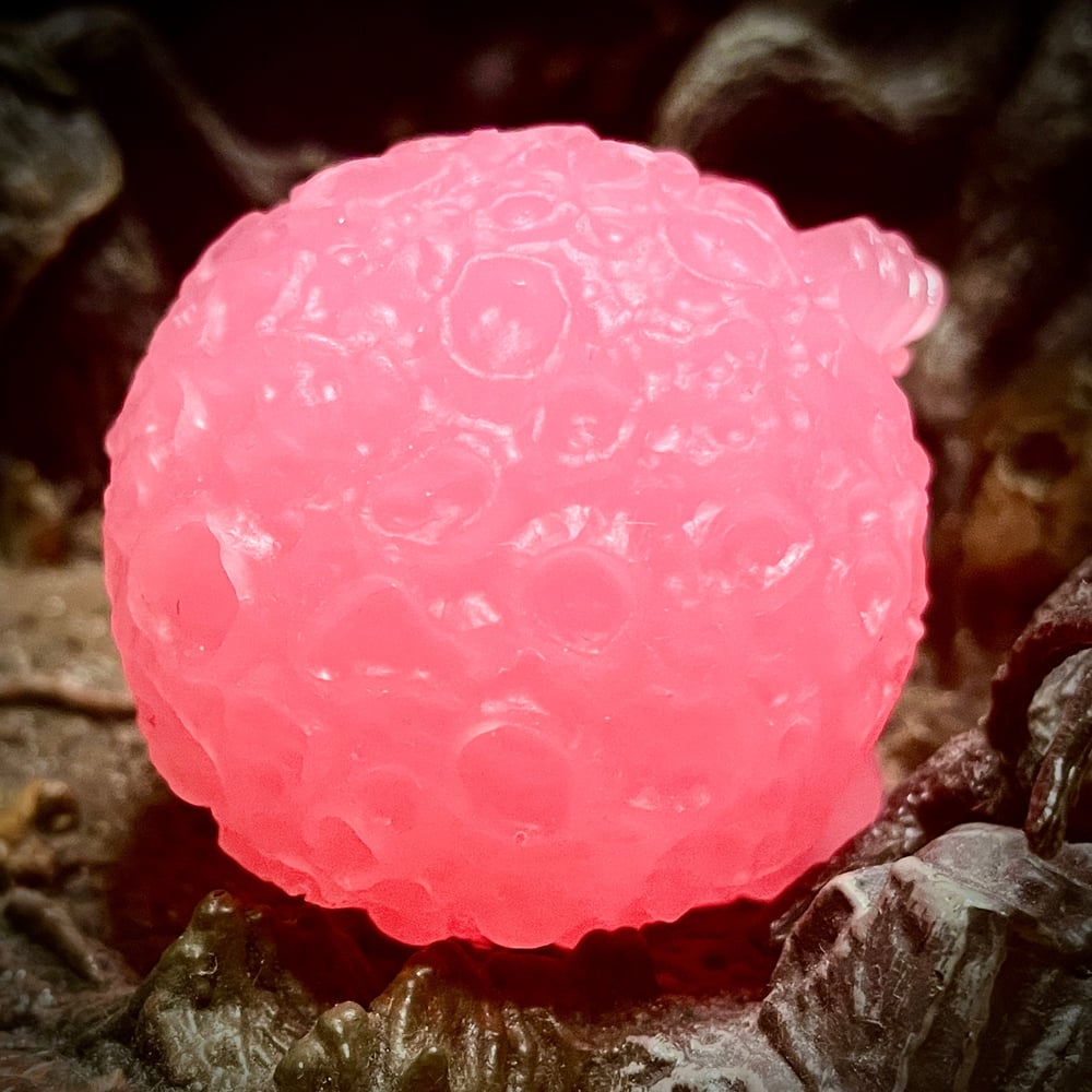 Image of The Gloop PREORDER