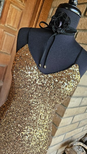 Image of Vienna Sequins Dress 