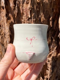 Image 3 of HOT Shot Swimers Cups