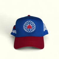 Image 1 of Mello Daisy Snappie 