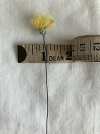 Image 4 of Dandelion