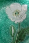 Single Flower 