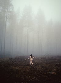 Wild and Free