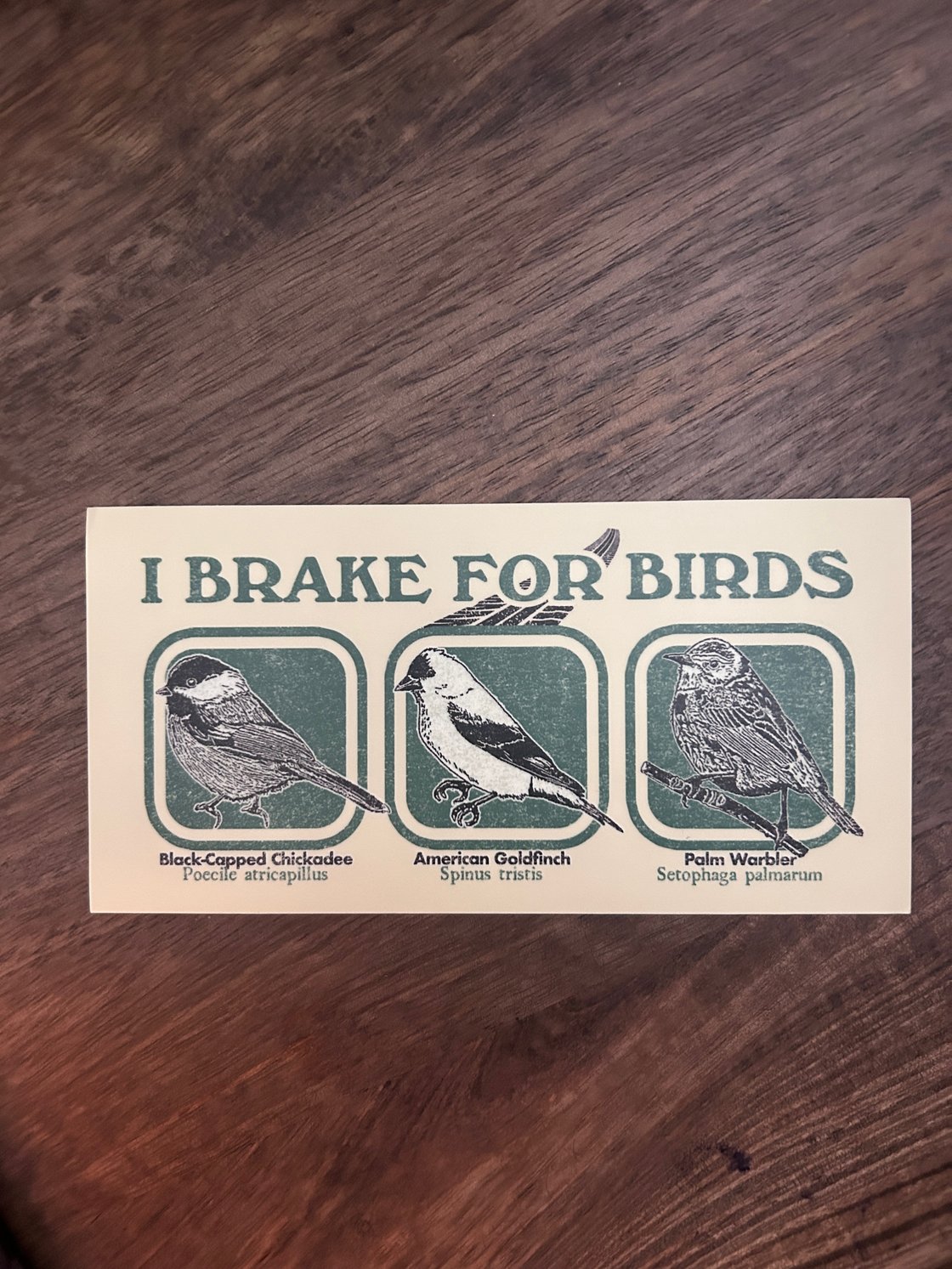 Image of I Brake for Birds 7.5” x 3.75” bumper sticker