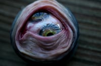 Image 1 of Custom Swappable Phone Grip for smartphones, glow in the dark double iris, reflective pupil