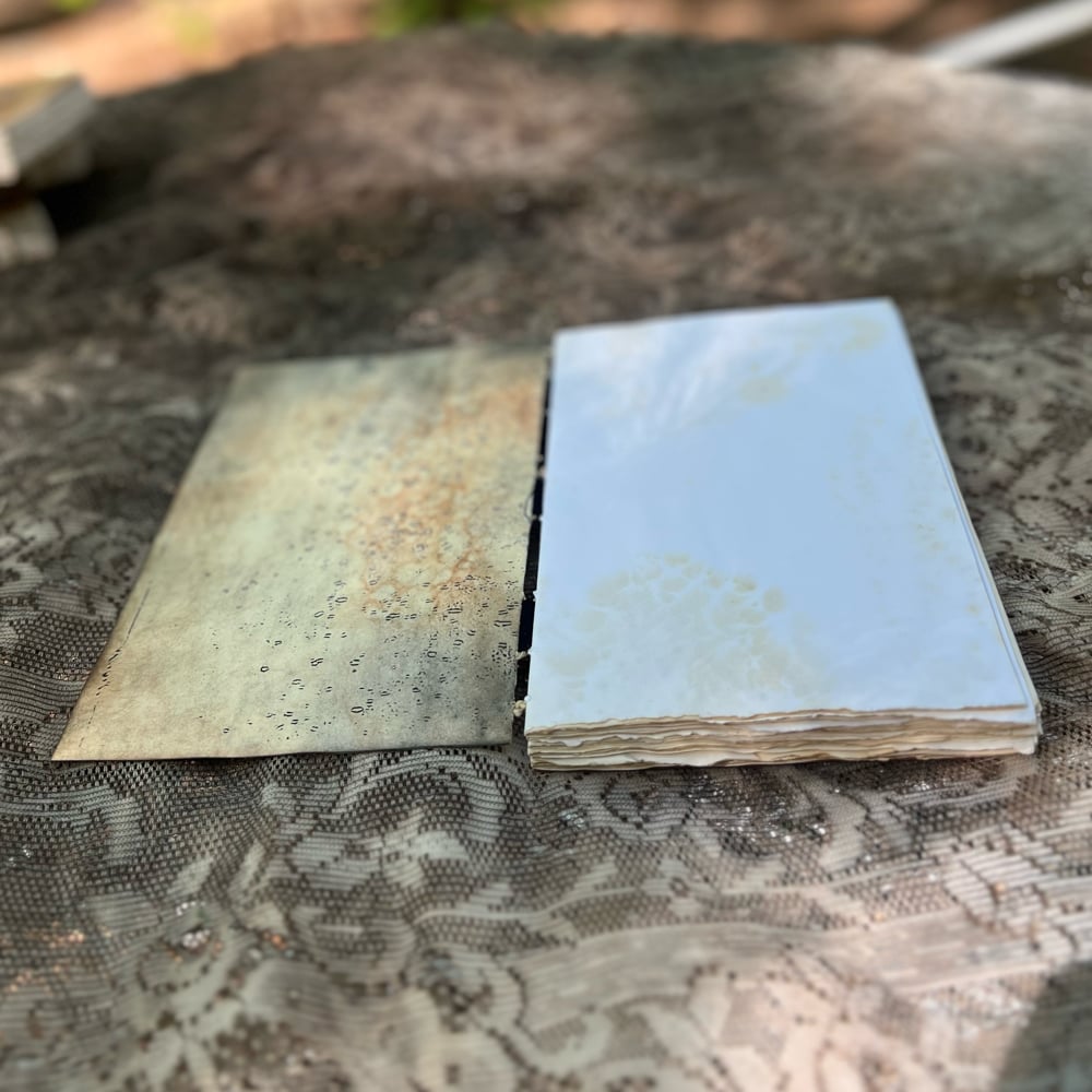 lie-flat commonplace book : Dogwood
