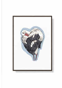 Image 2 of Lámina Cigüeña