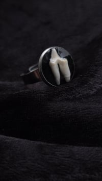 Image 4 of Fox tooth ring