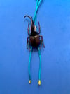 Big Beetle Bolo Tie 3