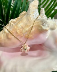 Image 2 of Tiny Scallop Shell + Sea Turtle Necklace N171