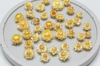Image 1 of 60 Strawflower Heads - Various Sizes - Golden 
