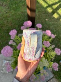 Image 3 of Pink Pitbull 