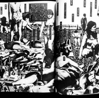 Image 13 of Nobuyoshi Araki "Fake Report"