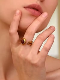 Image 2 of Posh Ring