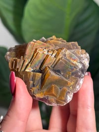 Image 4 of NATURAL RAINBOW IRIDESCENT CUBIC FLUORITE -CHINA- L