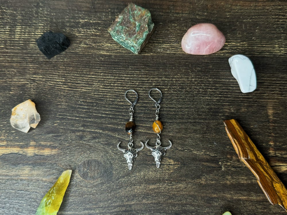 Image of "Return to Earth" Earrings w/ Tiger's Eye