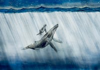 Image 1 of Humpback whales 