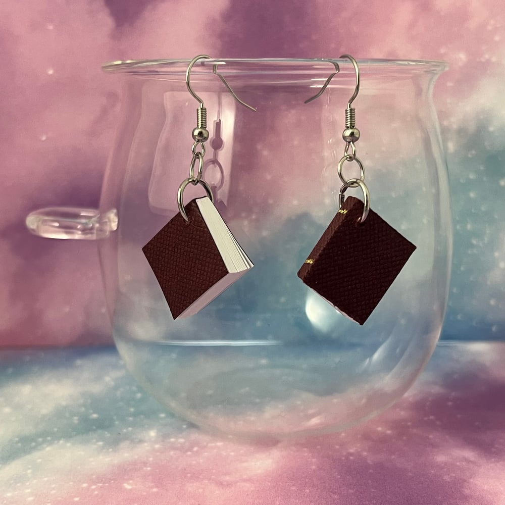 Image of Usable Tiny Book Earrings