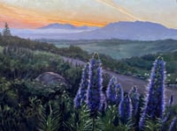 THE GOLD THAT HEALS EVERYTHING (OJAI)