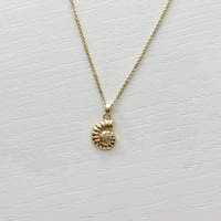 Image 3 of GOLD SHELL