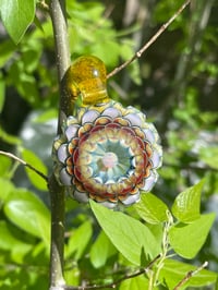 Image 6 of Sunburst Dahlia