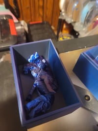 Image 3 of Mystery dinosaur box