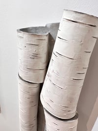 Image 3 of Birch Bark Scroll ll