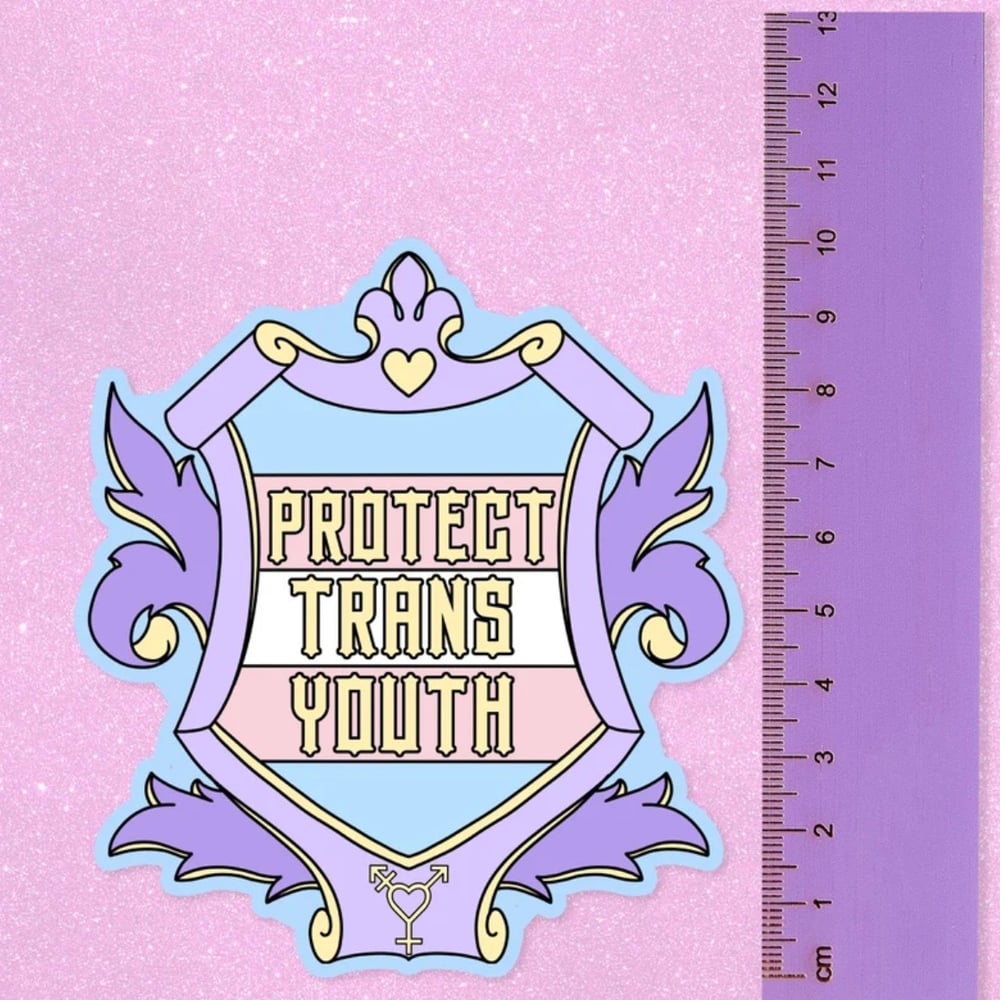 Image of Protect Trans Youth Large Vinyl Sticker