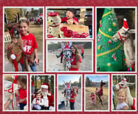 Crosswind Country Christmas - Santa, Grinch, Snowfall, Horse Rides, Baby Kangaroo Holding, MORE! 